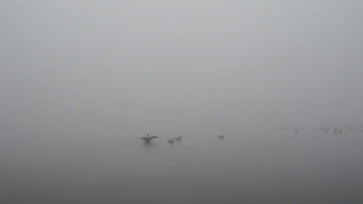 Port Meadow Trailer