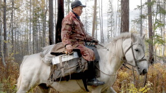 Post für die Taiga Trailer