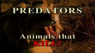 Predators of the Animal World Trailer