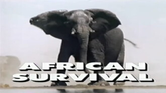 Predators of the Wild: African Survival Trailer