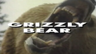 Predators of the Wild: Grizzly Bear Trailer