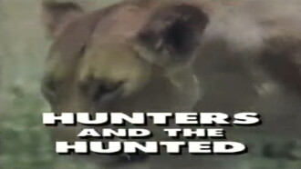 Predators of the Wild: Hunters and Hunted Trailer