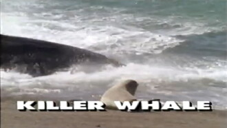 Predators of the Wild: Killer Whale Trailer
