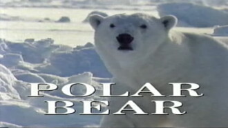 Predators of the Wild: Polar Bear Trailer