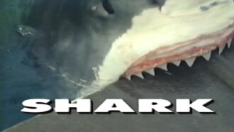 Predators of the Wild: Shark Trailer