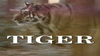 Predators of the Wild: Tiger Trailer