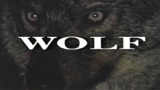 Predators of the Wild: Wolf Trailer