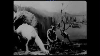 Prehistoric Poultry Trailer