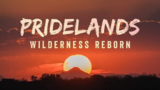 PRIDELANDS: WILDERNESS REBORN Trailer