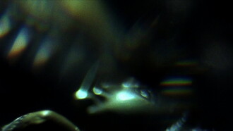 Prisms Trailer