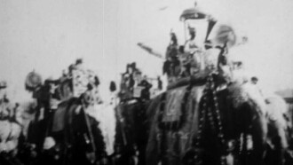 Procession of Elephants with Howdahs - India Trailer
