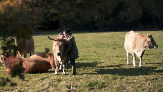 Production Line Animals Trailer