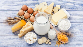 Produits laitiers, faut-il s'en passer ? Trailer