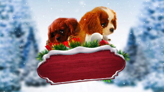 Project: Puppies for Christmas Trailer