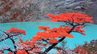 PROJETO PATAGÔNIA Trailer