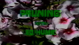 Pruning with Ed Hume Trailer