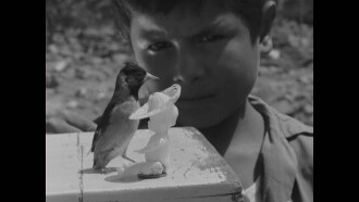 Pulquería La Rosita Trailer