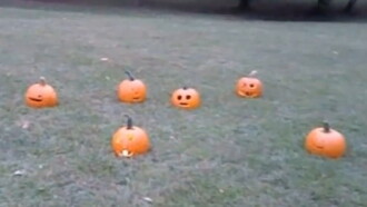Pumpkins And Their Dark Properties Trailer