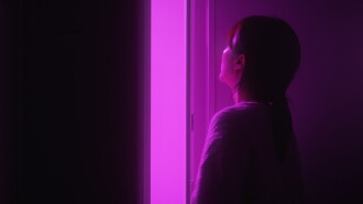Purple Swallow Trailer