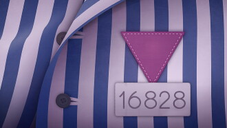 Purple Triangles Trailer