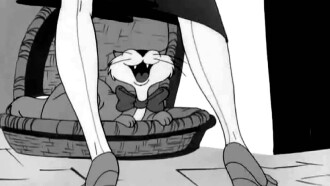 Puss n' Booty Trailer