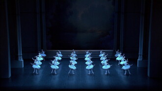 Pyotr Tchaikovsky: Swan Lake Trailer