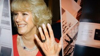 Queen Camilla: the Wicked Stepmother? Trailer