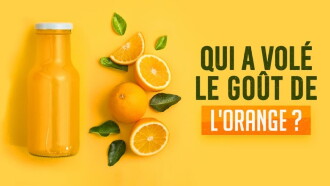Qui a volé le goût de l'orange ? Trailer