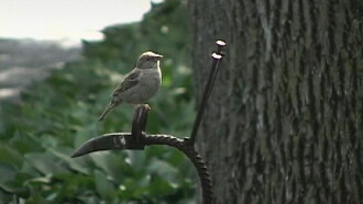 Quietly On By Trailer