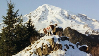Rainier: A Beer Odyssey Trailer