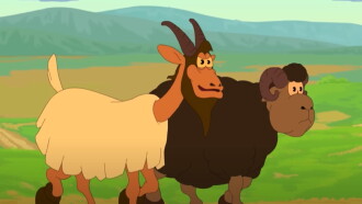 Ram and Goat 2 Trailer