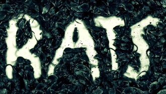 Rats Trailer