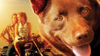 Red Dog Trailer