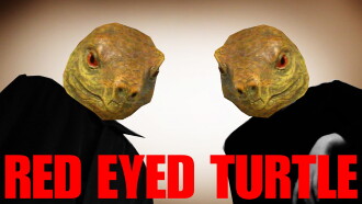 Red Eyed Turtle Trailer