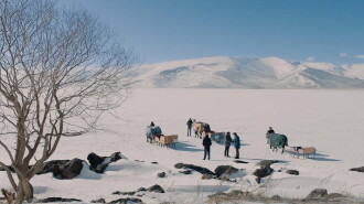 Red Snow Trailer