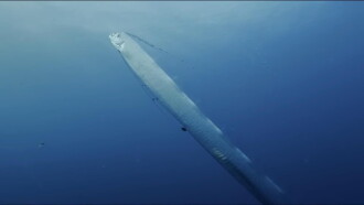 Régalec, premiers contacts avec le poisson roi Trailer