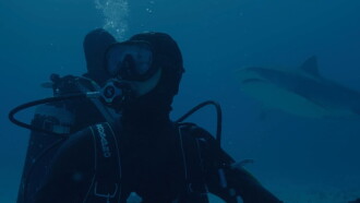 Requin Trailer