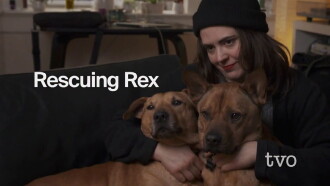 Rescuing Rex Trailer