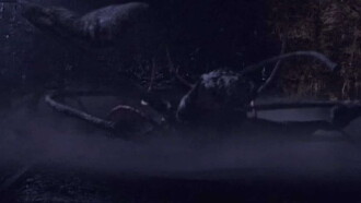 Resonnances Trailer