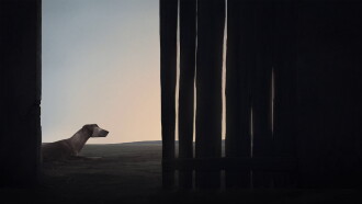 Reverie Trailer