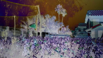Revisited Remunerations Rapturously Collapse When Recompensed Trailer