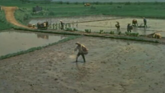 Rice Trailer