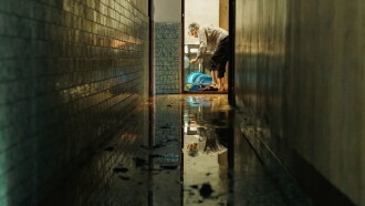 Ripples Trailer