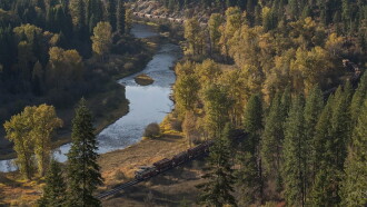 River Without Frontiers Trailer