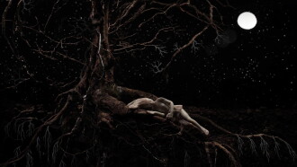 Roots Trailer