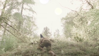 Rover of Meadow's Advent Trailer