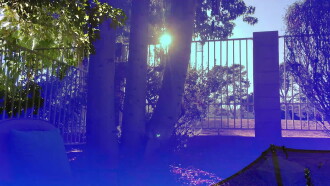 Ruminative Meditations Trailer