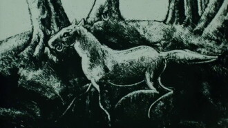 Sabbath Trailer