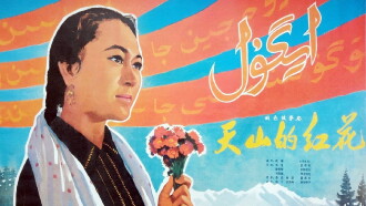 Safflower of Tianshan Trailer