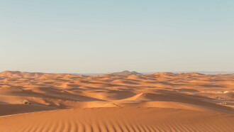 Sahara Swing Trailer